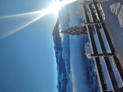 Apartment Appartement Oberkreut - Outdoor photo 16