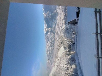 Apartment Appartement Oberkreut - Outdoor photo 22