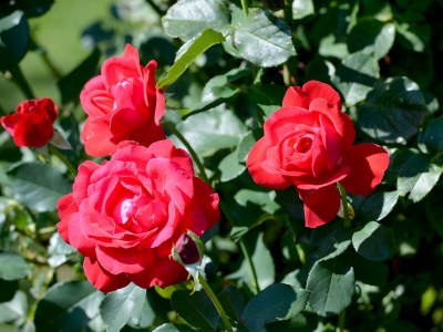 Apartment Gartenwohnung - Outdoor photo 6