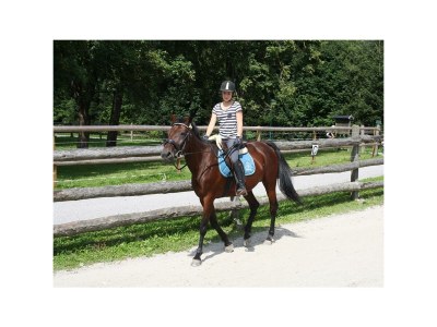 Apartment Ferienwohnung 1 "Edelweiss" - Outdoor photo 16