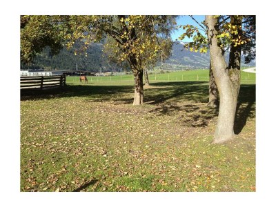 Apartment Ferienwohnung 1 "Edelweiss" - Outdoor photo 21