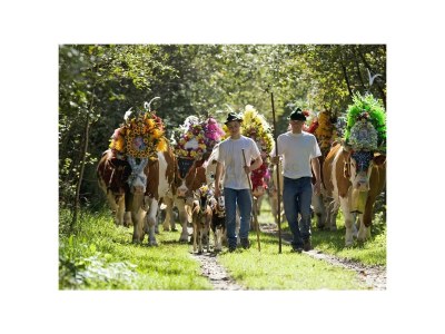 Apartment Ferienwohnung 90m² (Zillertalblick) - Outdoor photo 23