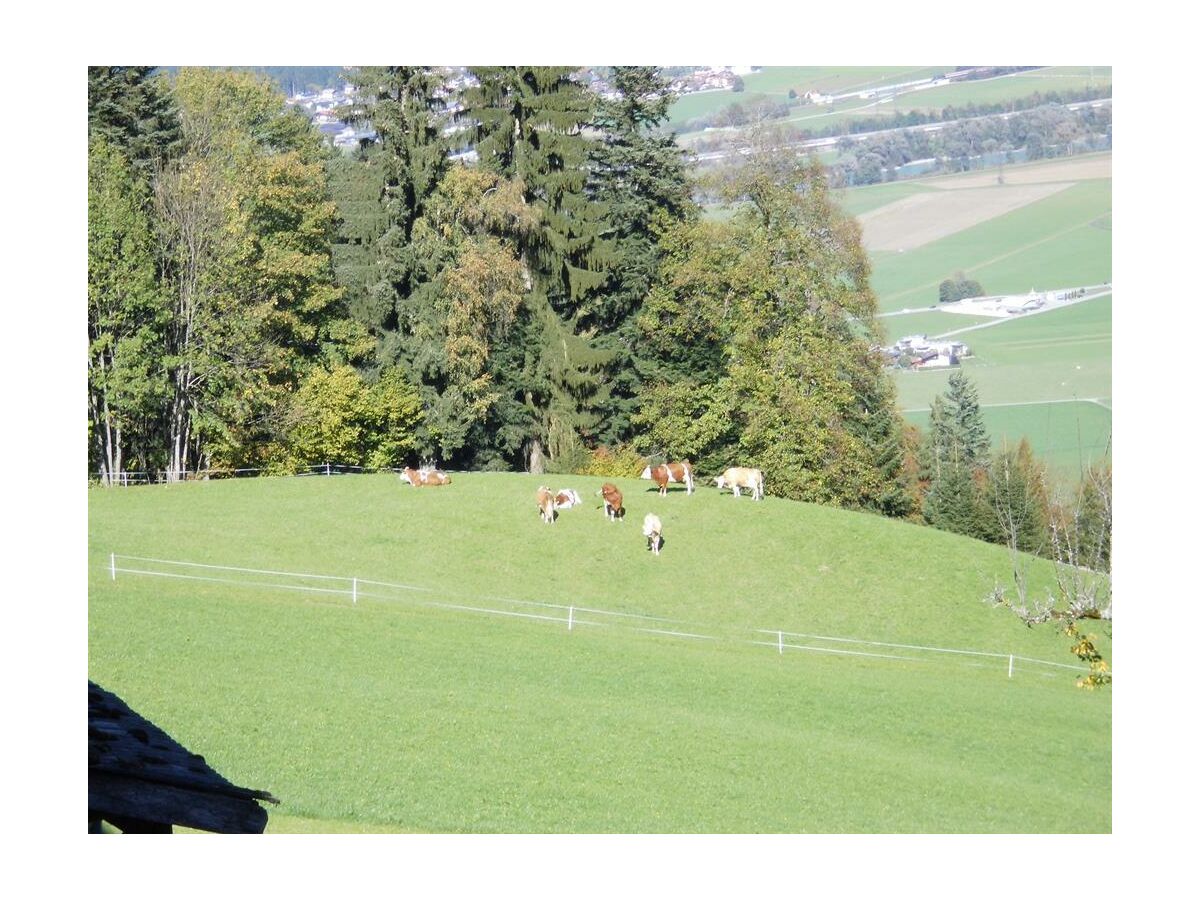 Apartment Ferienwohnung Talblick