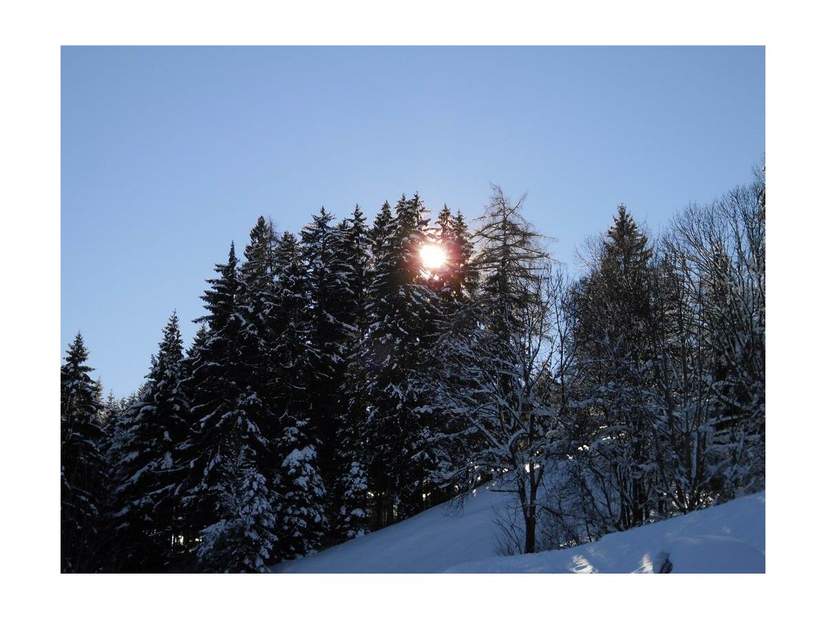Apartment Ferienwohnung Talblick - Outdoor photo 3