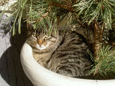 Apartment Ferienwohnung Talblick - Outdoor photo 14