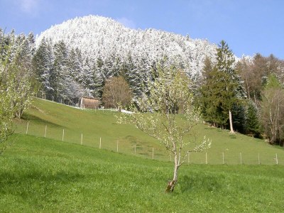 Apartment Ferienwohnung Talblick - Outdoor photo 15