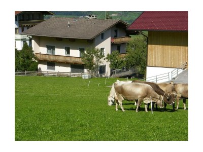 Apartment Ferienhaus - Outdoor photo 13