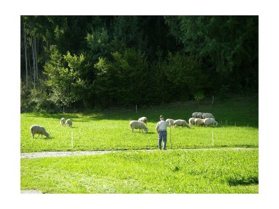 Apartment Ferienhaus - Outdoor photo 14
