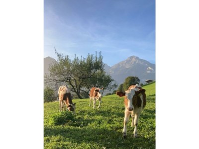 Apartment Appartement 1. Stock - Outdoor photo 10