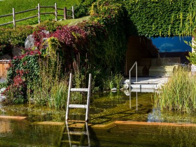 Apartment Romantikchalet - Outdoor photo 25