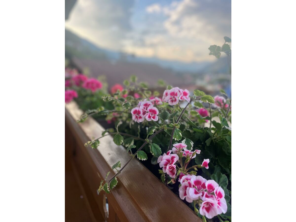 Apartment Appartement 2 - Outdoor photo 2