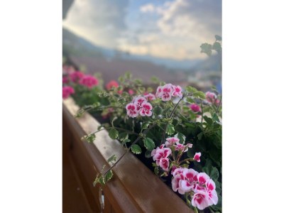 Apartment Appartement 2 - Outdoor photo 2