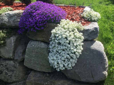 Apartment Appartement/Fewo, Dusche, WC, 1 Schlafraum - Outdoor photo 7