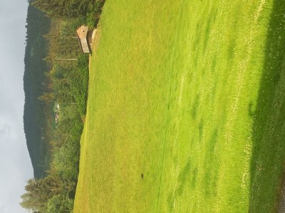 Apartment Appart Mount Gilfert View - Features photo 34