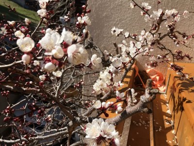 Holiday room Doppelzimmer mit Dusche - Outdoor photo 24