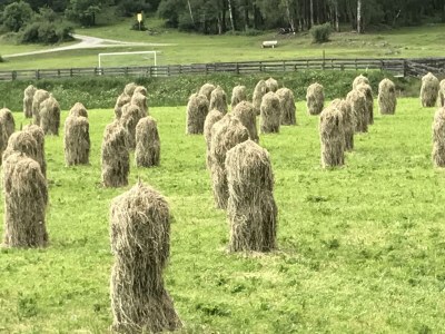 Holiday room Doppelzimmer mit Dusche - Outdoor photo 35
