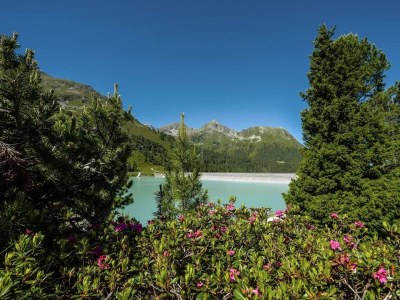 Holiday room Doppelzimmer mit Dusche - Outdoor photo 39