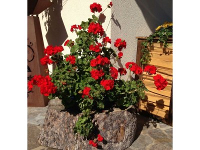 Holiday room Doppelzimmer mit Dusche - Features photo 49