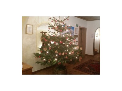 Apartment Appartement/Fewo - Outdoor photo 14