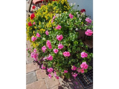 Apartment Appartement/Fewo - Outdoor photo 26