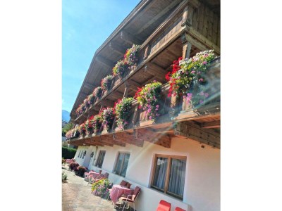 Apartment Appartement/Fewo - Outdoor photo 43