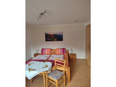 Apartment Ferienwohnung Manuela - Outdoor photo 12