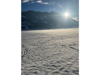 Apartment Ferienwohnung Wiesenblick - Outdoor photo 13