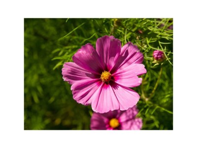 Apartment Wohnung 1. Stock - Outdoor photo 10