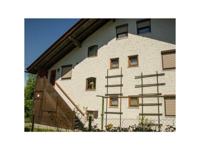 Apartment Wohnung 1. Stock - Features photo 38