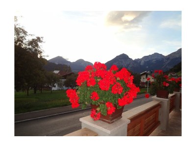 Apartment Apartment Sunshine - Outdoor photo 9