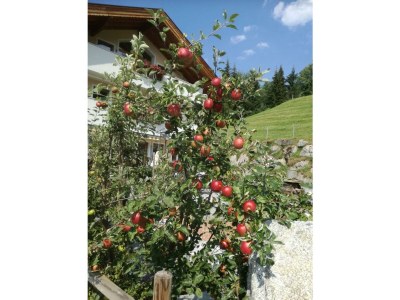 Apartment Ferienwohnung Spieljoch - Outdoor photo 7