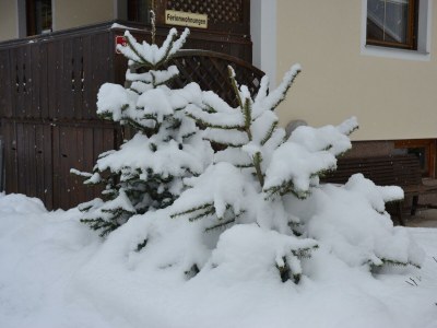 Apartment Ferienhaus Raffeiner - Outdoor photo 26