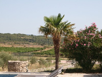 Villa Domaine de L'Oliveraie - Outdoor photo 14