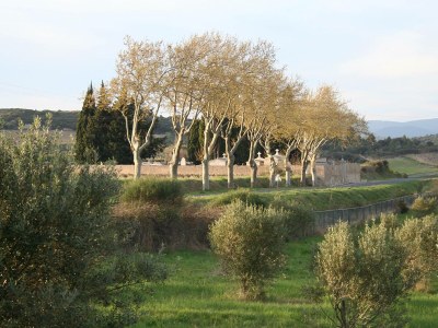 Villa Domaine de L'Oliveraie - Environment photo 66