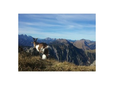 Apartment Top 03 - BACHLER - Outdoor photo 37