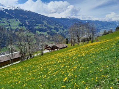 Apartment Chalet Gumperhof - Outdoor photo 6