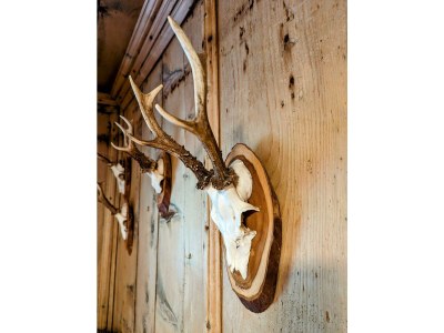 Apartment Chalet Gumperhof - Outdoor photo 10