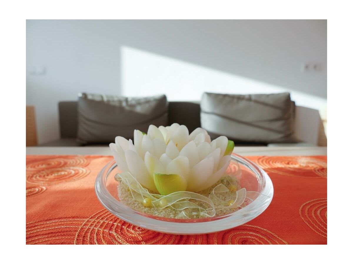 Apartment Appartement Haus am Sonnenhang