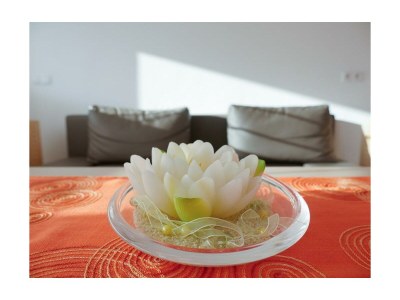 Apartment Appartement Haus am Sonnenhang in Hart im Zillertal - Apartment