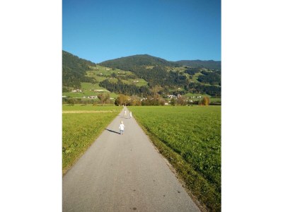 Apartment Bungalow Millau - Outdoor photo 12