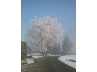 Apartment Bungalow Millau - Outdoor photo 19