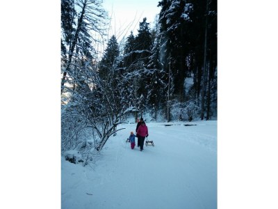 Apartment Bungalow Millau - Outdoor photo 20