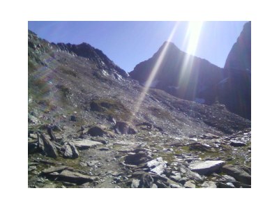 Apartment Ferienwohnung Dollnberghof - Outdoor photo 15