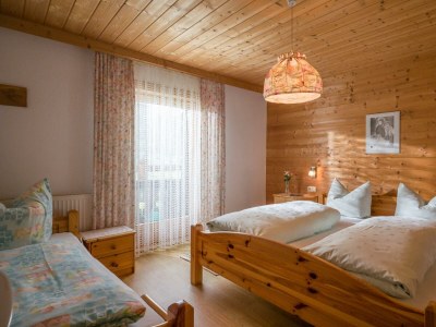 Apartment Ferienwohnung Dollnberghof - Features photo 21