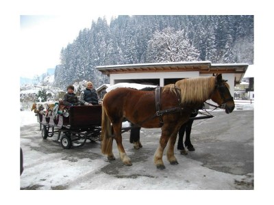Apartment TOP 1 - Outdoor photo 10