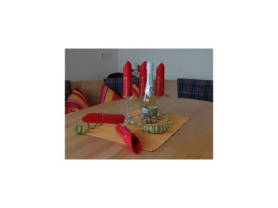 Apartment Apart Zillertal - Outdoor photo 24