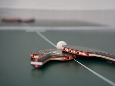 Holiday house Münsterland Oase - Environment photo 39