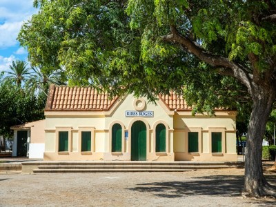 Holiday house Premium holiday home with private pool - Environment photo 35