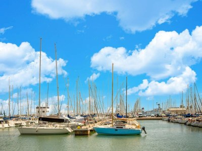 Holiday house Premium holiday home with private pool - Environment photo 37