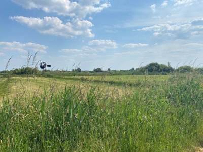 Chalet Chalet in der Natur, Friesland - Environment photo 17